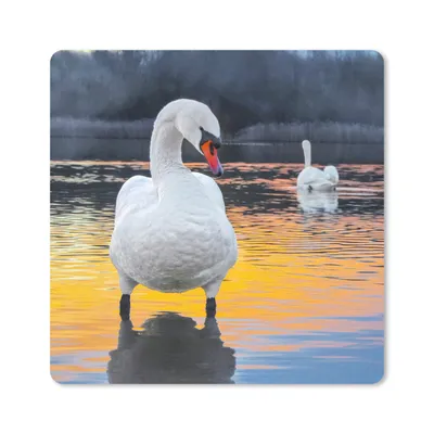 Produktbild von MuchoWow® Mauspad Mousepad Schwan - Vogel - Sonnenuntergang - Wasser 20x20 cm - Mousepads - Maus Mat - Pad - Mausunterlage - Desk Mat - Bureauartikeln