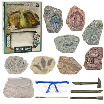 Zdjęcie produktu dla Zestaw do wykopalisk paleontologicznych Narzędzia do bloków gipsowych