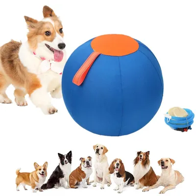 Productafbeelding van Opblaasbare Speelbal voor Honden en Paarden