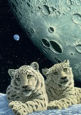 Immagine prodotto di Grafika Puzzle Schim Schimmel - La tana del leopardo delle nevi - 1500 pezzi animali