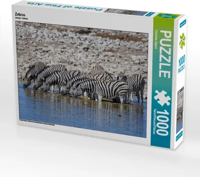Produktbild von CALVENDO Puzzle Zebras 1000 Teile Puzzle quer | 1000 Teile Lege-Größe 64x48cm Foto-Puzzle für glückliche Stunden