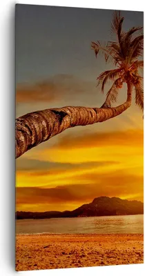 Produktbild von Bild auf Leinwand - Leinwandbild - Palme Landschaft Sonne - 65x120cm - Wand Bild - Wanddeko - Leinwanddruck - Bilder - Kunstdruck - Wanddekoration - Leinwand bilder - Wandkunst - PA65x120-0162