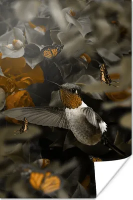 Produktbild von MuchoWow® Poster Vogel - Kolibri - Gold 40x60 cm - Plakate für die Wand - Poster Babyzimmer
