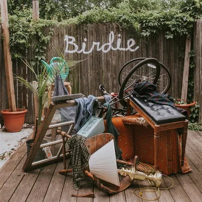 Image de Birdie