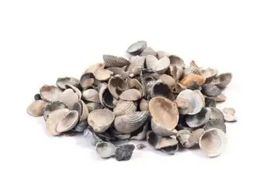 Produktbild von Muscheln im Sack 20l