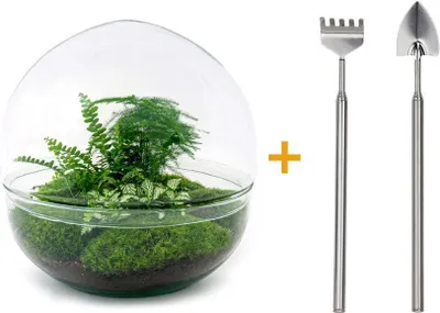 Immagine prodotto di Terrario fai da te - Cupola Xl - ↕ 30 cm