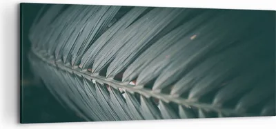 Produktbild von Bild auf Leinwand - Leinwandbild - Einteilig - Blatt Palme exotisch - 120x50cm - Wand Bild - Wanddeko - Wandbilder - Leinwanddruck - Bilder - Wanddekoration - Leinwand bilder - AB120x50-4907