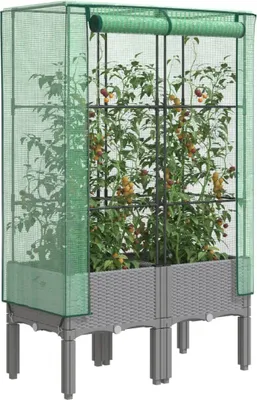 A raised garden bed with a greenhouse cover, containing tomato plants.