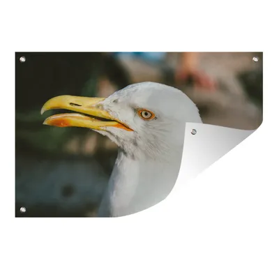 Obrázek produktu pro MuchoWow® Zahradní plakáty - Racek - Pták - 120x180 cm - Zahradní dekorace