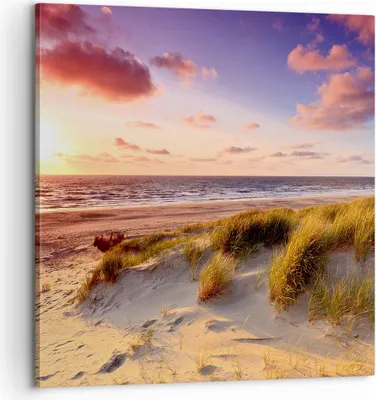 Produktbild von Bild auf Leinwand - Leinwandbild - Meer Strand Düne - 60x60cm - Wand Bild - Wanddeko - Wandbilder - Leinwanddruck - Bilder - Kunstdruck - Wanddekoration - Leinwand bilder - Wandkunst - AC60x60-3540