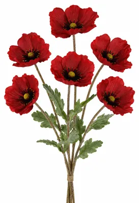 Produktbild von Künstliche Mohnblumen mit Stiel 7x44cm 6 Stück Rot
