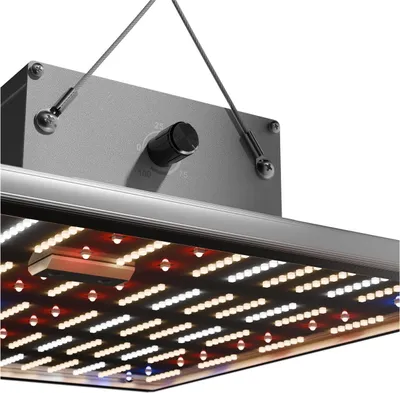 Produktbild von Caluma LED Grow Lampe Force 150 W, 38x38x7cm, 2,7 µmol/J, 405 µmol/s