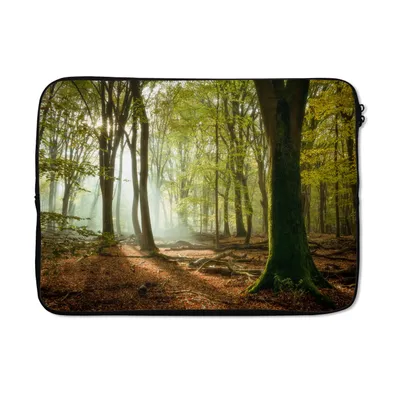 Produktbild von MuchoWow® Laptop Hülle 14 ZollWald - Sonne - Jahreszeiten - Landschaft Laptoptasche - Laptoptasche - Stoßsicher - Schutzhaube