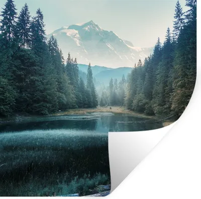 Produktbild von MuchoWow® Wandtattoo Wandsticker Wandaufkleber Wald - Gras - Berge - Bäume - Natur 100x100 cm Selbstklebend und Repositionierbar - Wierderverwendbar - Selbstklebend