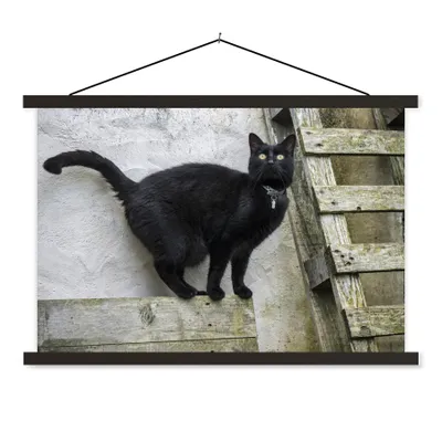 Produktbild von MuchoWow® Textilposter Katze - Schwarz - Palette - Mädchen - Jungen - Kind 150x100 cm mit schwarzem Rahmen - Schlafzimmer