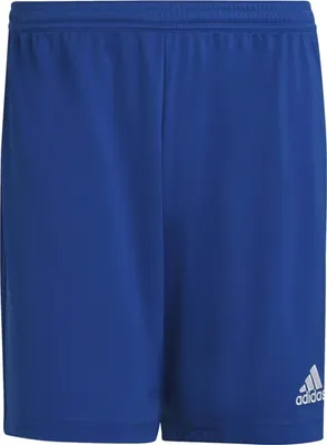 Image de Adidas Shorts HG6294 in Blue color size large