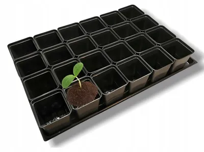 Produktbild von GardenPlus+ 24x Anzuchttöpfe 0.5l Quadratisch mit Untersetzer