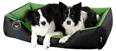 Produktbild von BedDog Hundebett LUPI waschbar,(XXL) ca. 120x85x23cm,GREEN-FIELD (schwarz/grün)