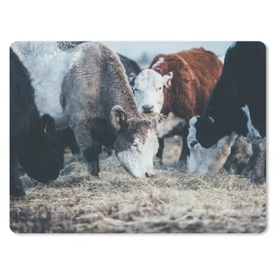 Produktbild von MuchoWow® Mauspad Mousepad Tiere - Kuh - Bauernhof 23x19 cm - Mousepads - Maus Mat - Pad - Mausunterlage - Schreibtischunterlage - Mauspad