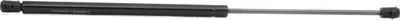 Produktbild von RIDEX 219G0300 Gasfeder Heckklappendämpfer für SAAB 900 II Cabriolet 567mm