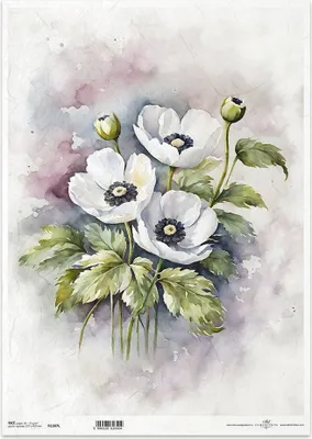 Immagine prodotto di Carta di riso per decoupage Carta per decoupage A3 ITD-1307L papaveri bianchi