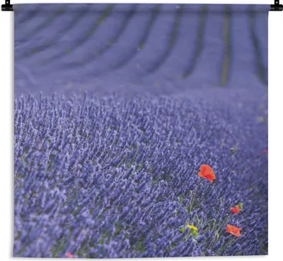 Produktbild von MuchoWow® Wandteppich Wandbehang Lavendel - Mohn - Blumenwiese 60x60 cm Tapisserie Dekoration Wandtuch - Dekorationen - Wand Decke