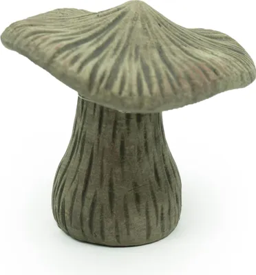 Produktbild von Gartenfigur Terrakotta Pilz