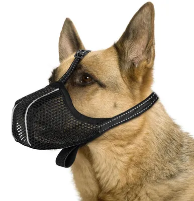Image de Panier de transport pour chiens de taille moyenne, respirant, réfléchissant, réglable, taille M