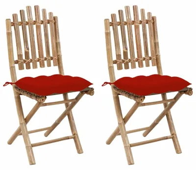 Productafbeelding van Set van 2 Vouwbare Tuinstoelen met Kussen