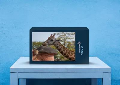 Produktbild von hansepuzzle 78452 - Giraffe Puzzle, 1000 Teile, Natur, 60,0 x 46,0cm mit hochwertiger Aufbewahrung, Kartonbox und wiederverschließbarem Beutel