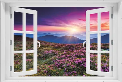 Produktbild von Wallario Wandbild mit Fenster-Illusion: Blumenbedeckte Wiese bei Sonnenuntergang, Größe: 61 x 91,5 cm, Poster mit rahmenlosen Bildhalter