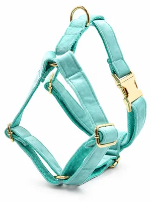 Image de Harnais pour chien Lakeblue M