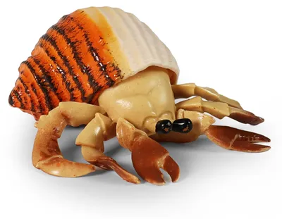 Immagine prodotto di Granchio Con Conchiglia 10 Cm