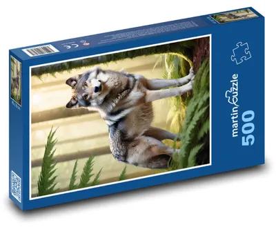 Obrázok produktu pre Puzzle 500 Vlk v lese - martinpuzzle