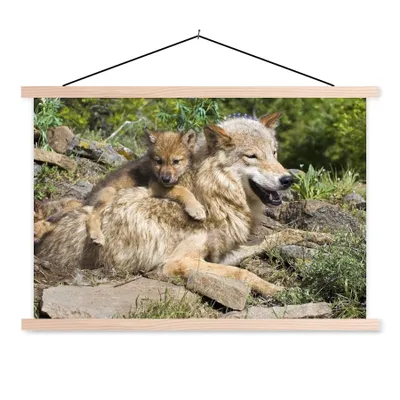Produktbild von MuchoWow® Textilposter Wolf - Jungtier - Tier 120x80 cm mit holzfarbenen Rahmen - Aufhängeset