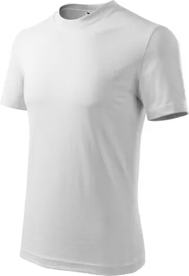 Image de T-shirt Malfini CLASSIC 101 blanc unie