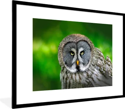 Produktbild von MuchoWow® Gerahmtes Poster Vogel - Eule - Tiere - Braun - Porträt 80x60 cm - Poster mit Schwarzem Bilderrahmen Wandposter Rahmen Foto Bilder - Schlafzimmer-Dekorationen - Fotoposter