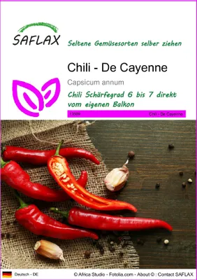 Produktbild von SAFLAX - Chili - De Cayenne - 20 Samen - Capsicum annum