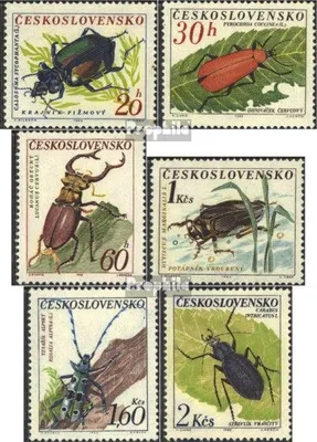 Produktbild von Briefmarken Tschechoslowakei 1962 Mi 1371-1376 (kompl.Ausg.) postfrisch Käfer