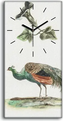 Produktbild von Dekor Leinwand Uhr Wandbilder 30x60 Zeichnung Tier Vogel Pfau Blumen Kunst - schwarze Hände