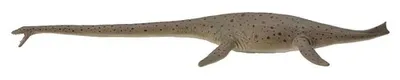 Produktbild von COLLECTA Thalassomedon – 1:40