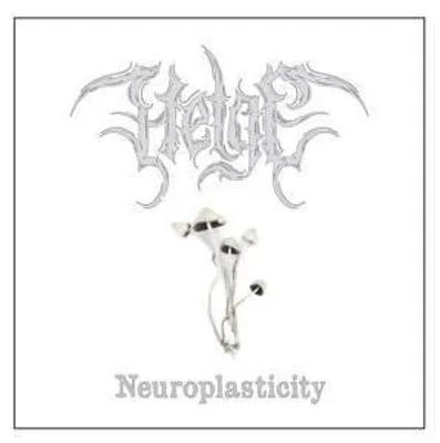 Produktbild von Neuroplasticity