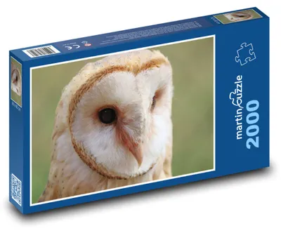 Obrázek produktu pro martinpuzzle - Puzzle 2000 - Sova pálená