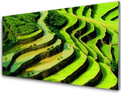 Produktbild von Acrylglasbilder 100x50 Wandbild Druck Wald Natur