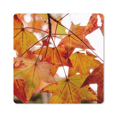 Produktbild von MuchoWow® Mauspad Mousepad Herbstzweige - Blätter - Jahreszeiten - Landleben 20x20 cm - Mousepads - Maus Mat - Pad - Mausunterlage - Desk Mat - Bureauartikeln
