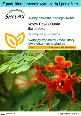 Zdjęcie produktu dla SAFLAX - Zestaw prezentowy - Krzew Pawi / Duma Barbadosu - 10 Nasiona - Z pudełkiem upominkowym, etykietą wysyłkową, kartą podarunkową i podłożem uprawowym - Caesalpinia pulcherrima
