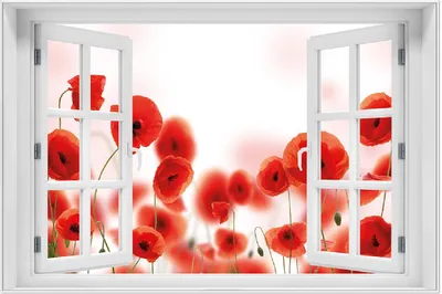Produktbild von Wallario Wandbild mit Fenster-Illusion: Leuchtende Mohnblumen - Rote Mohnblumenblüten, Größe: 61 x 91,5 cm, Poster mit weißem Aluminiumrahmen