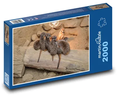 Obrázok produktu pre martinpuzzle - Puzzle 2000 - Rodinka surikát