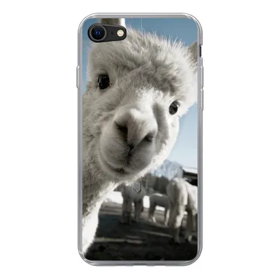 Produktbild von MuchoWow® Handyhülle Schutzhülle Hülle für iPhone SE 2022 Alpaka - Weiß - Tier Silikon Softcase Handy Hülle - Schutzhülle