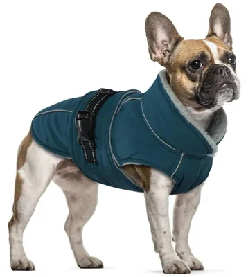 Produktbild von Wintermantel für Hunde Dunkelgrün Größe S wasserdicht Fleece Winddicht
